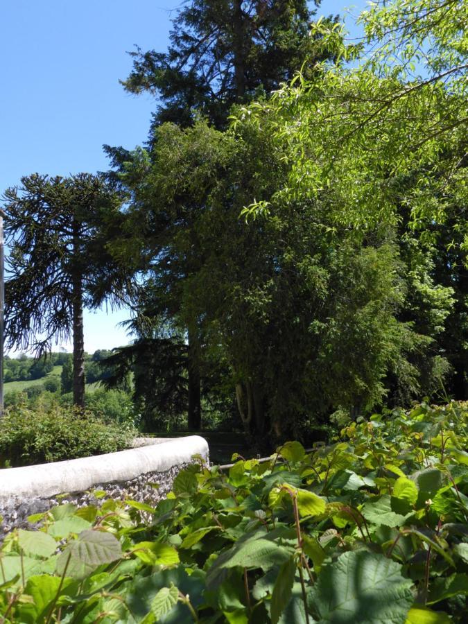 La Petite Bardouillere Villa Courdemanche  Екстериор снимка