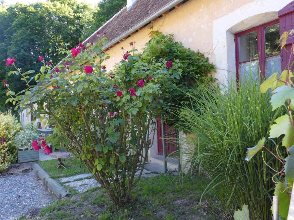 La Petite Bardouillere Villa Courdemanche  Екстериор снимка
