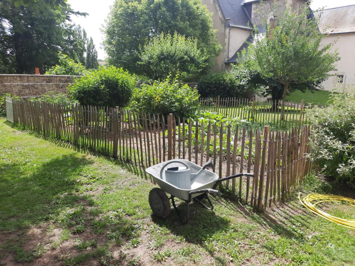 La Petite Bardouillere Villa Courdemanche  Екстериор снимка